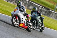 Oulton-Park-14th-March-2020;PJ-Motorsport-Photography-2020;anglesey;brands-hatch;cadwell-park;croft;donington-park;enduro-digital-images;event-digital-images;eventdigitalimages;mallory;no-limits;oulton-park;peter-wileman-photography;racing-digital-images;silverstone;snetterton;trackday-digital-images;trackday-photos;vmcc-banbury-run;welsh-2-day-enduro